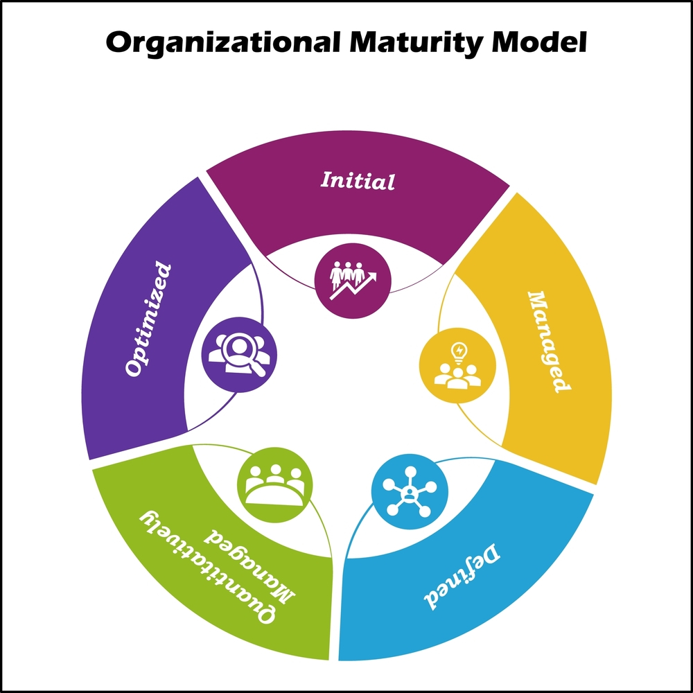 Supplier Qualification and Selection Service Organizational Maturity Model Modulus Metal in TURKEY